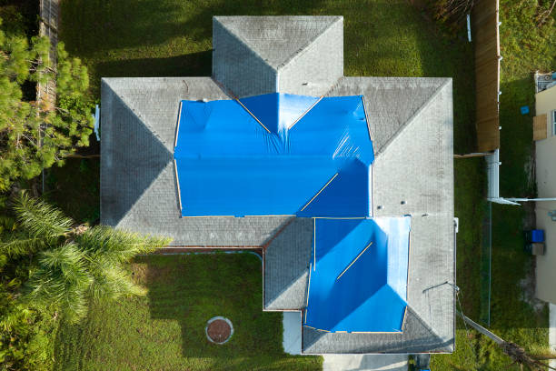 Best Skylight Installation and Repair  in New Waverly, TX