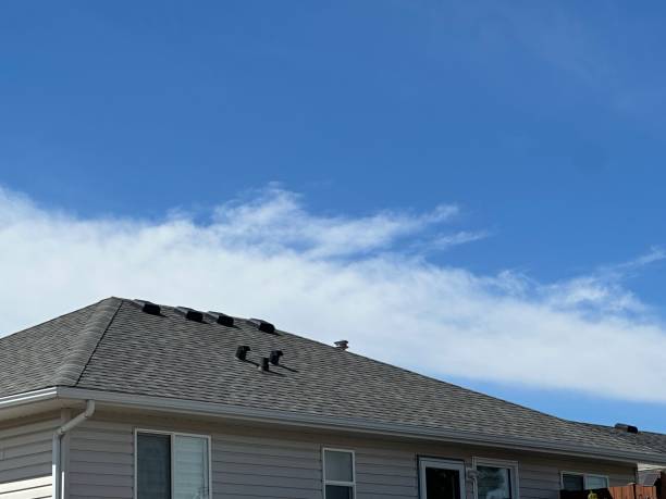 Steel Roofing in New Waverly, TX