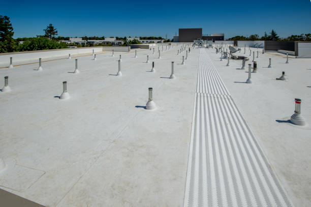 Best Roof Leak Repair  in New Waverly, TX